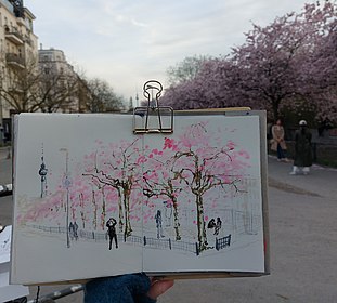 Ein Skizzenbuch mit Zeichungen von Kirschbäumen. Im Hintergrund eine Straße mit Kirschblüten.