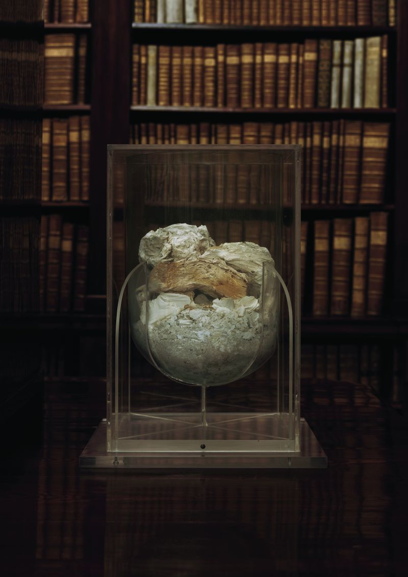 Glasvitrine, darin befindet sich eine durchsichtige Urne, Fotografie einer Urne, die die Asche von Büchern aus der in Brand gesetzten Krasiński-Bibliothek in Warschau enthält. 