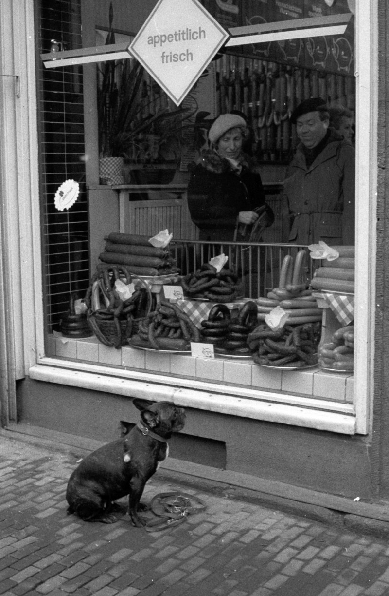 Hund, Fleischerei, DDR, DDR-Alltagsgeschichte, Zeitgeschichte